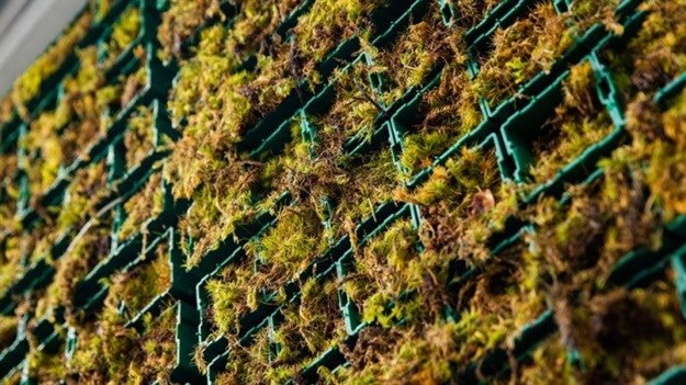 CityTree: The oxygen-producing forest in miniature