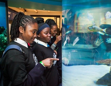 Youth an important part of sustainable tourism