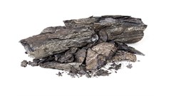 Algeria eyes return to controversial shale gas exploration