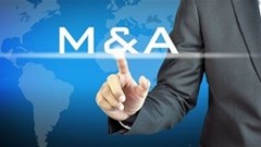 EU pauses inquiry into Bayer-Monsanto takeover