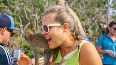 Activists condemn craze for wild animal selfies