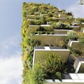 Italy's high-rise forests take root around the world