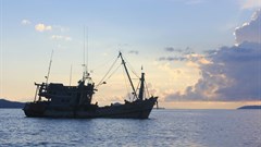 FAO calls on all countries to join PSMA, crack down on illegal fishing