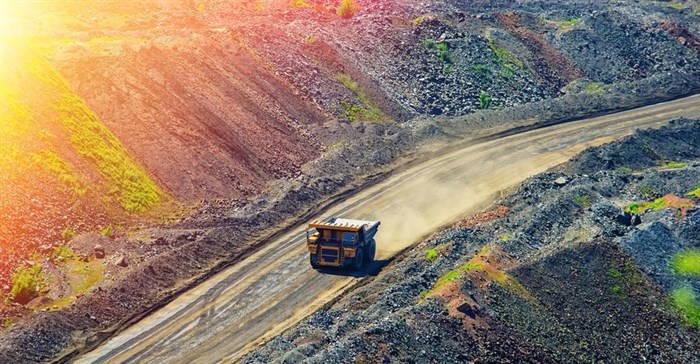 Zwane faces rebellion from within his department