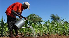 Role of secure tenure rights in eradicating hunger, poverty