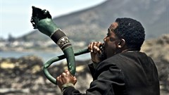 #OnTheBigScreen: Whale caller, serial killer and detectives