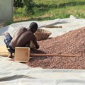 Ghana aims to regain top spot in cocoa production