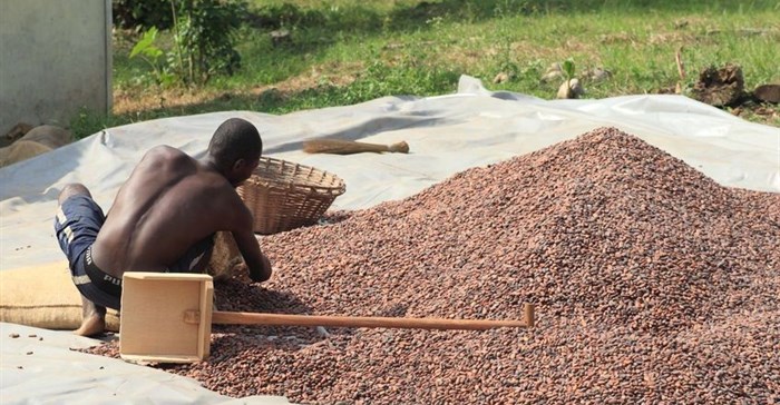 Ghana aims to regain top spot in cocoa production