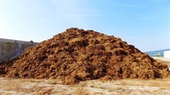 Polluted chicken muck piling up in The Netherlands