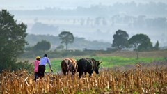#WorldFoodDay: Access to data vital for empowering smallholders, building resilience