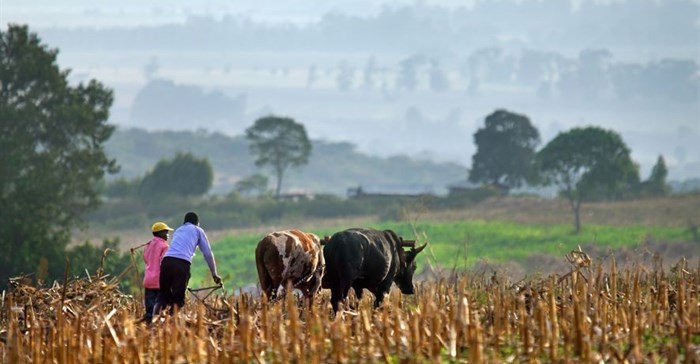 #WorldFoodDay: Access to data vital for empowering smallholders, building resilience