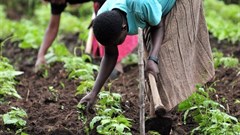 Integrated policy approach needed to ensure sustainable food systems