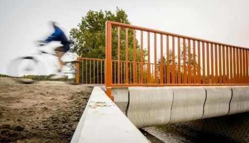 Dutch open 'world's first 3D-printed concrete bridge'