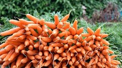 prasanna_devadas via