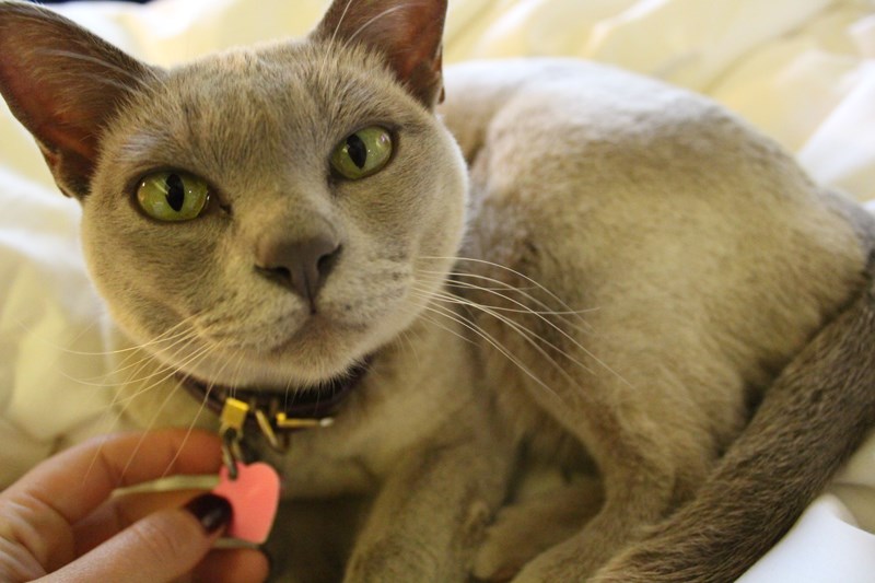 Five reasons to stay at Majeka House in Stellenbosch