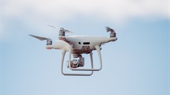 Photo by Annie Spratt on Unsplash