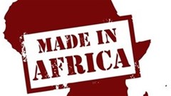 How to industrialise Africa in a socially inclusive, environmentally sustainable manner