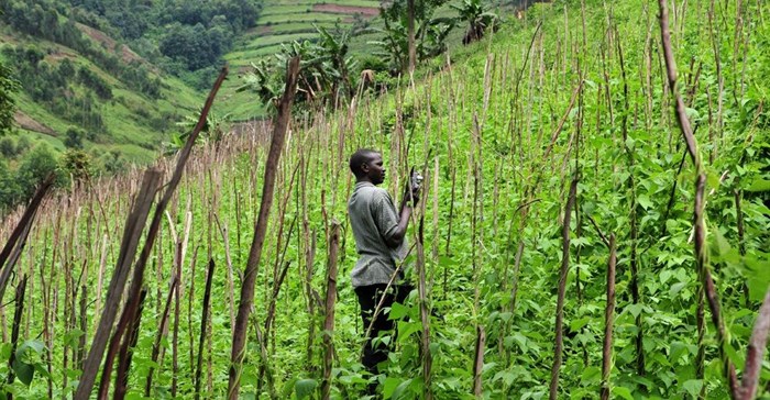 Neil Palmer (CIAT) via