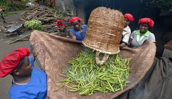 Inside the Lush life of an ethical cosmetics buyer