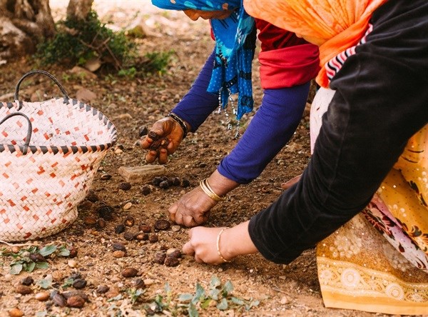 Inside the Lush life of an ethical cosmetics buyer