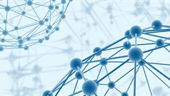 Netshield introduces online store