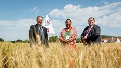 From left: Prof Eugene Cloete (vice-rector: research, innovation and postgraduate studies of Stellenbosch University), the Minister of Science and Technology, Naledi Pandor, and Willem Botes (research leader of Stellenbosch University’s Plant Breeding Laboratory). Photo: Stefan Els
