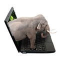 The digital elephant in the room... Image credit: Jan Mik © –