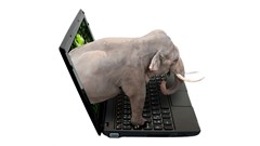 The digital elephant in the room... Image credit: Jan Mik © –