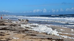 CNN's Go There Media Fund to aid distressed destinations in boosting travel and tourism