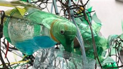 Biomimic Tree: Pushing agriculture up the agenda @cop23