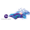 New Zee TV branding.