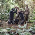 Could the peatlands of Congo be a carbon bomb?