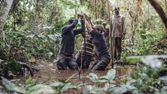 Could the peatlands of Congo be a carbon bomb?