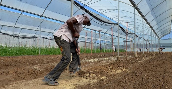 #AgriIndaba: Meeting the challenges of investing in sub-Saharan agriculture