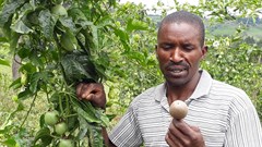 Elijah Langat, passion fruit farmer (Image Supplied)