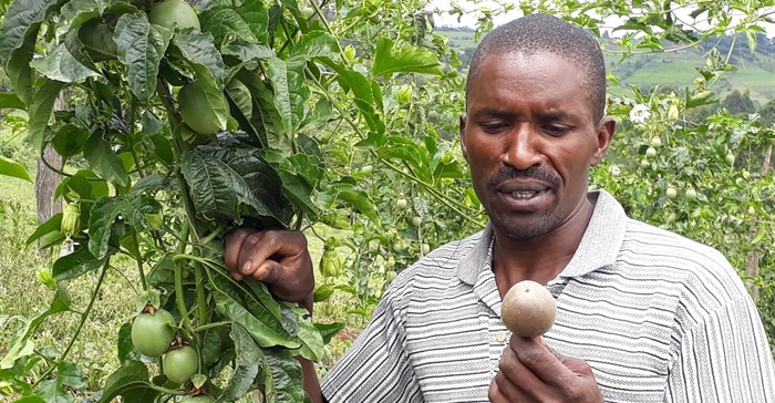Elijah Langat, passion fruit farmer (Image Supplied)