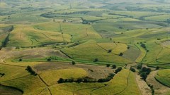 Fluglotse2000 via  - Sugar cane fields north of Durban