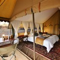 Hayward's Grand Safari Company awarded best mobile safari in Africa