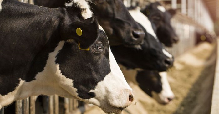 Greening the livestock sector: Low carbon livestock is possible