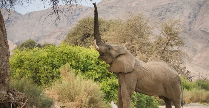 Images Supplied by Natural Selection