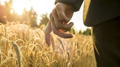 #AgriIndaba: A gateway to investment opportunities in African agriculture