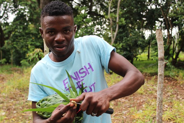 What to do and where to stay in Zanzibar