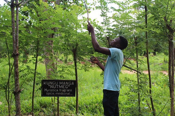 What to do and where to stay in Zanzibar