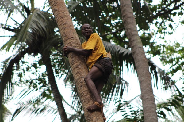 What to do and where to stay in Zanzibar