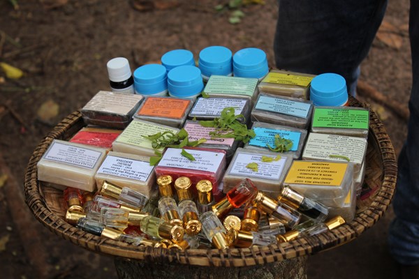 What to do and where to stay in Zanzibar