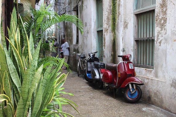 What to do and where to stay in Zanzibar