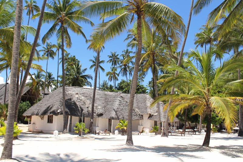 What to do and where to stay in Zanzibar