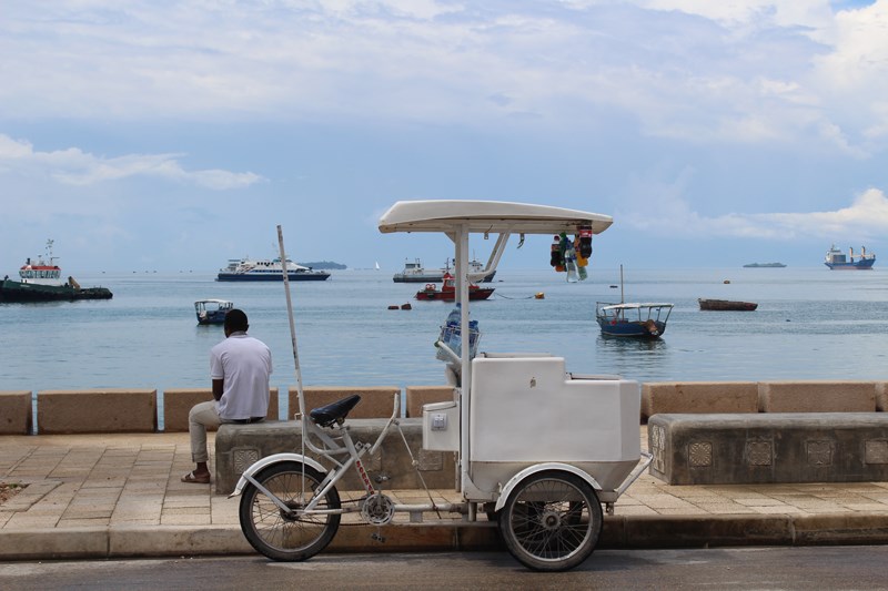 What to do and where to stay in Zanzibar