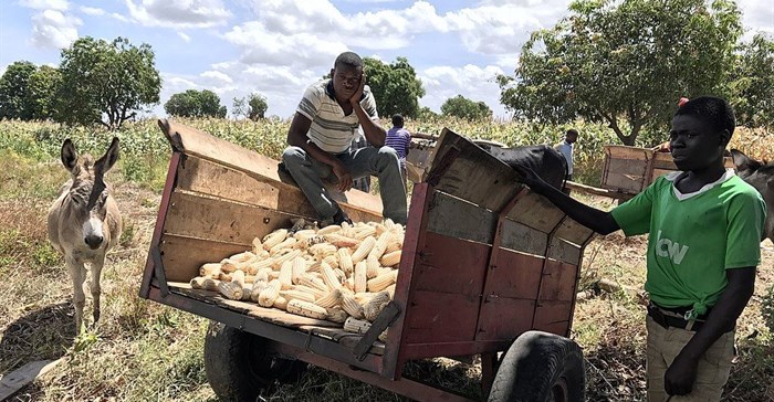 Loes van der Pluijm via