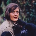 National Geographic premieres miniseries, Dian Fossey: Secrets in the Mist